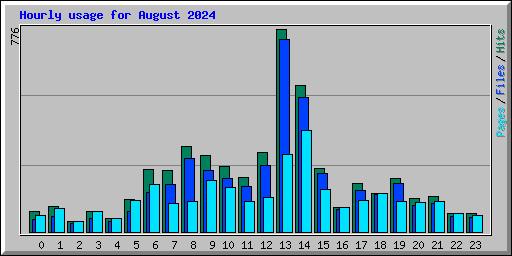 Hourly usage for August 2024