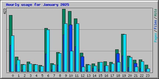 Hourly usage for January 2025